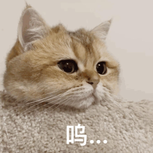 巨乳❌拔萝卜❌日韩欧美
