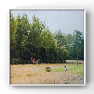 巨乳❌拔萝卜❌日韩欧美
